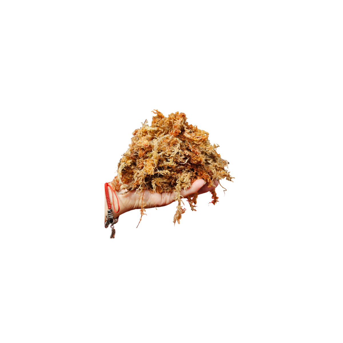 Musgo Sphagnum 15 g