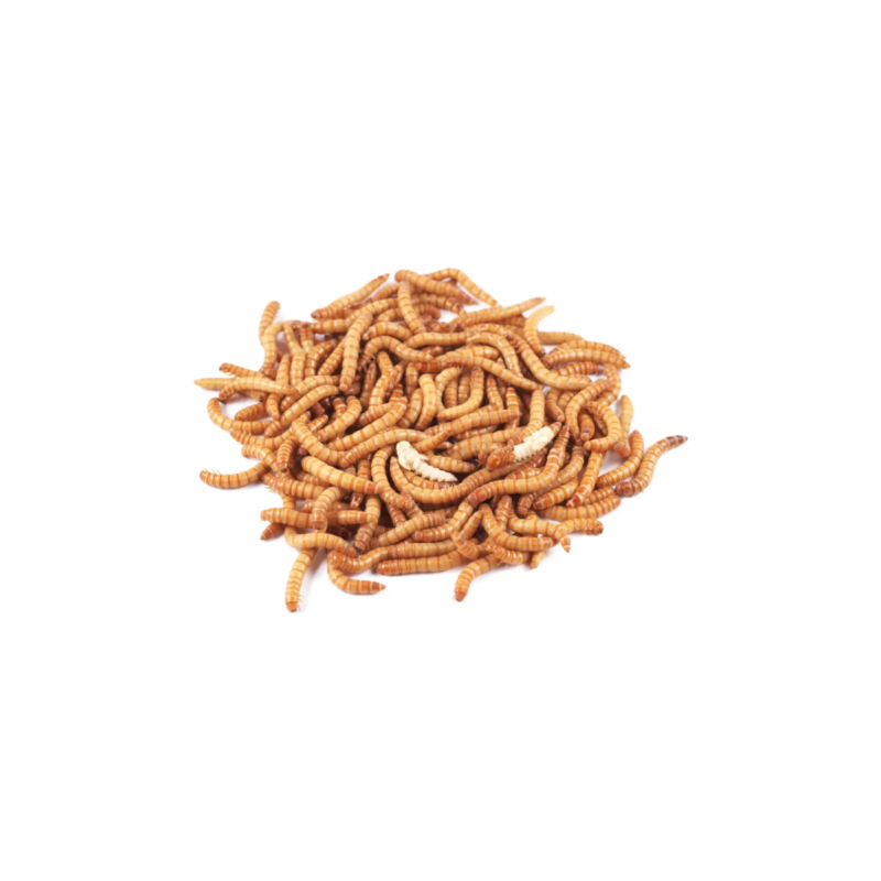 Tenebrios Deshidratados 15 g